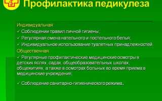 Аптечные и народные средства для профилактики вшей у детей