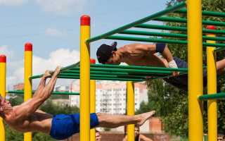 Воркаут программа тренировок в домашних условиях