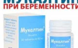Инструкция по применению Мукалтина при беременности с дозировками на ранних и поздних сроках, противопоказания