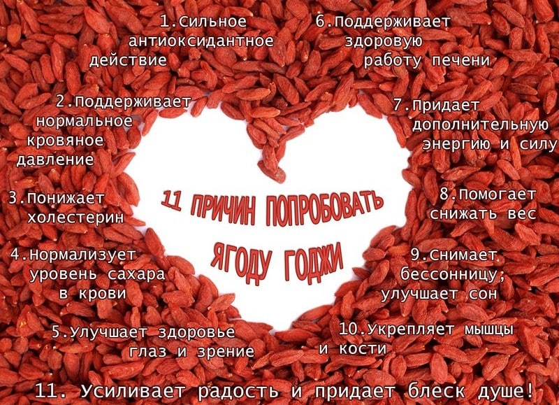 питательная ценность годжи