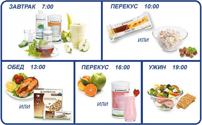 5 разовое питание