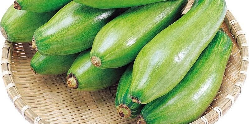 кабачковая диета 14 кг за 2 недели