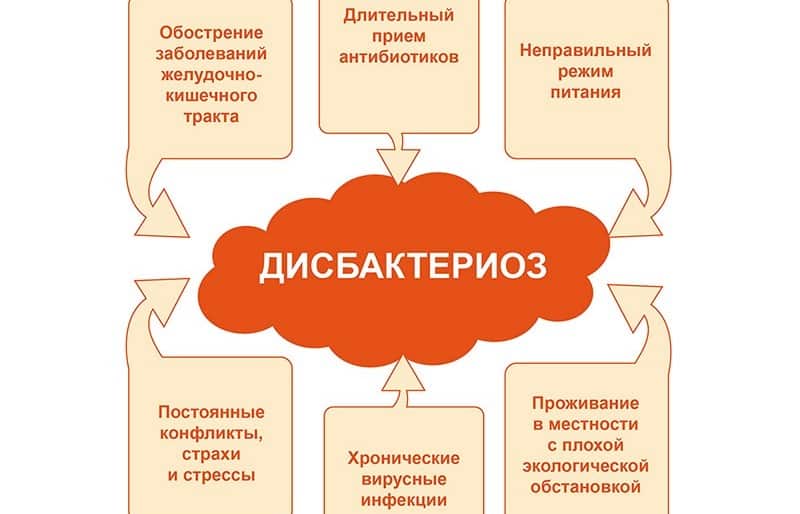 лечебные диеты