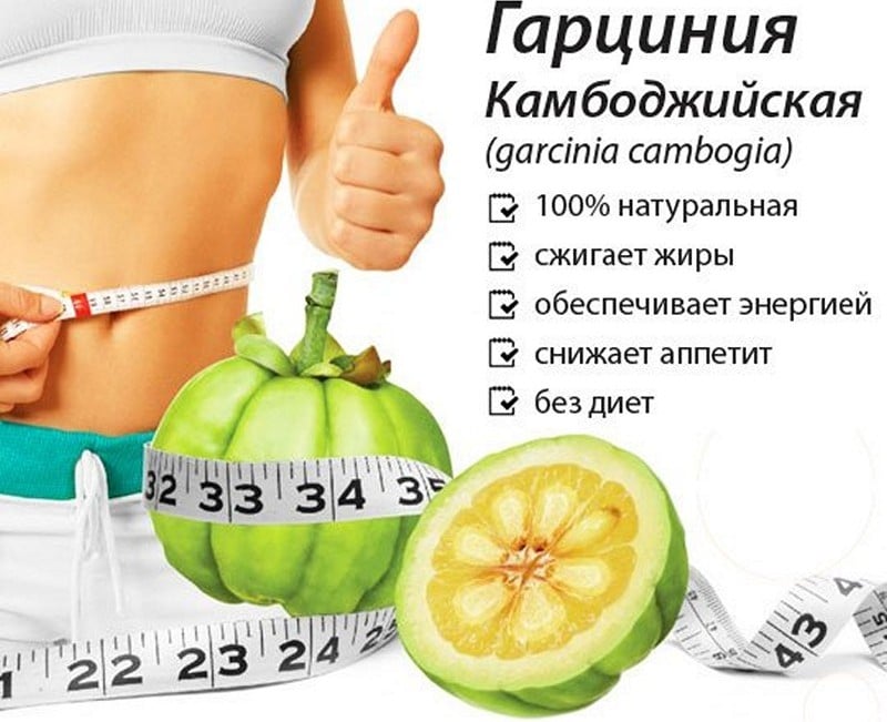 гарциния камбоджийская