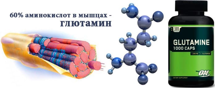 Что такое глютамин и как его принимать?