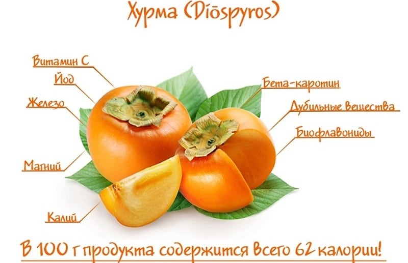калорийность хурмы