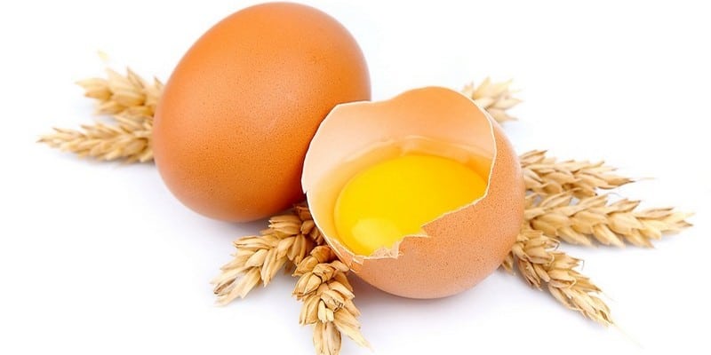 Калорийность белка и желтка