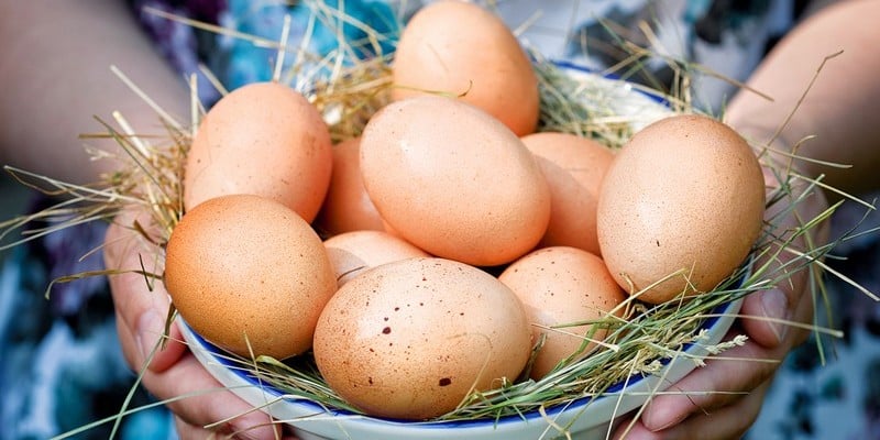 Калорийность яйца