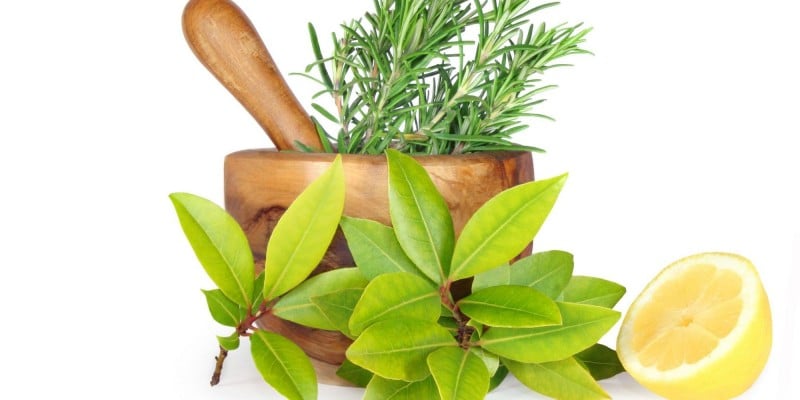 Очищение суставов лавровым