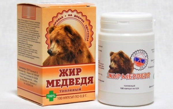 польза медвежьего жира