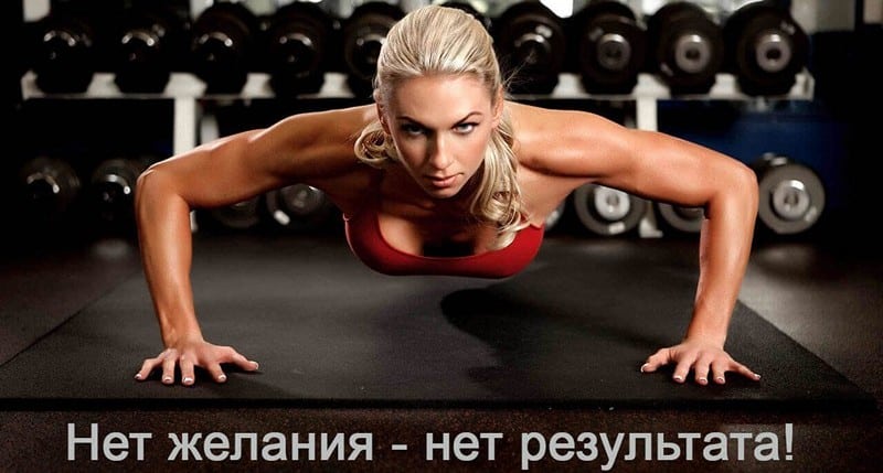 motivaciya