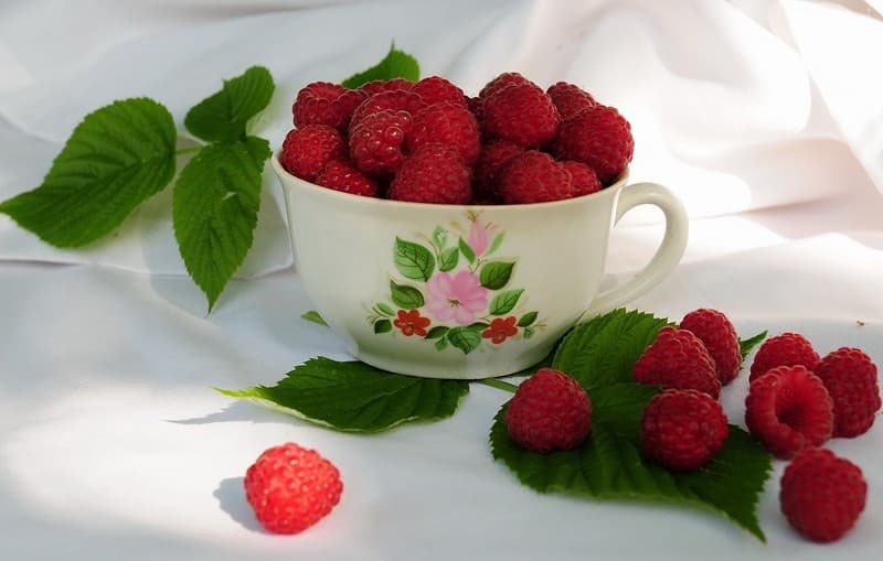 nemetskaya-dieta-blok-dopolneniy-1