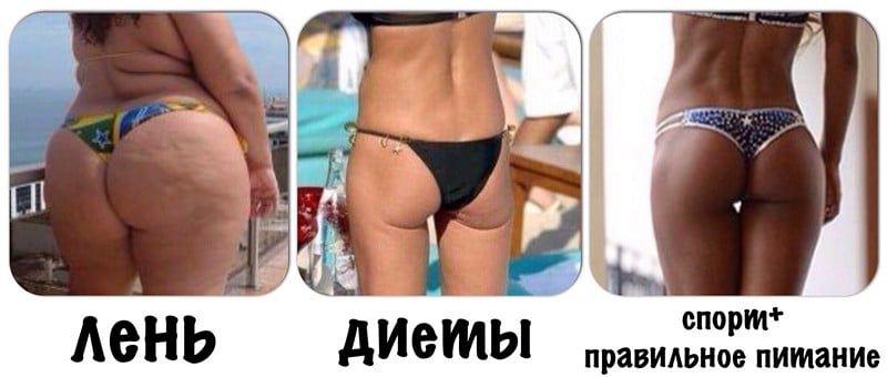 фитнес и питание