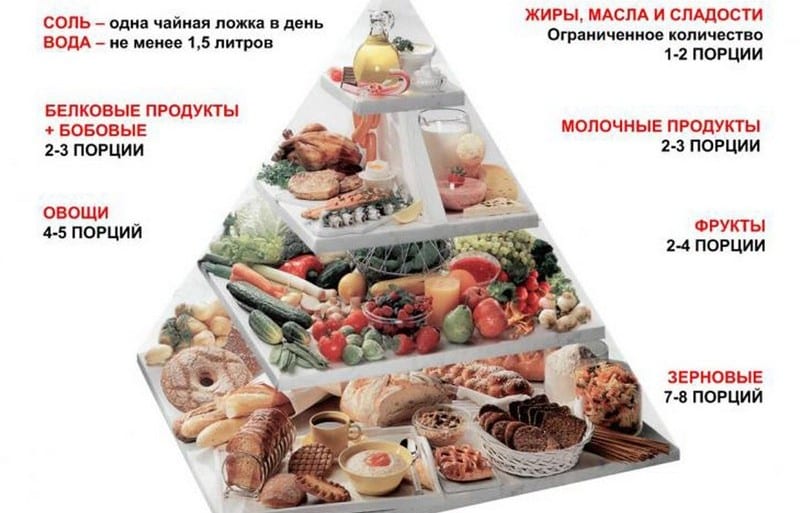 пирамида питания