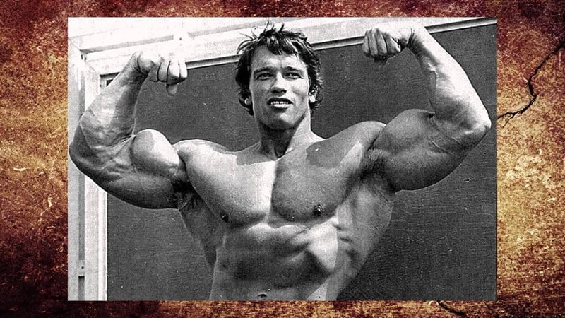 результат жиросжигателей