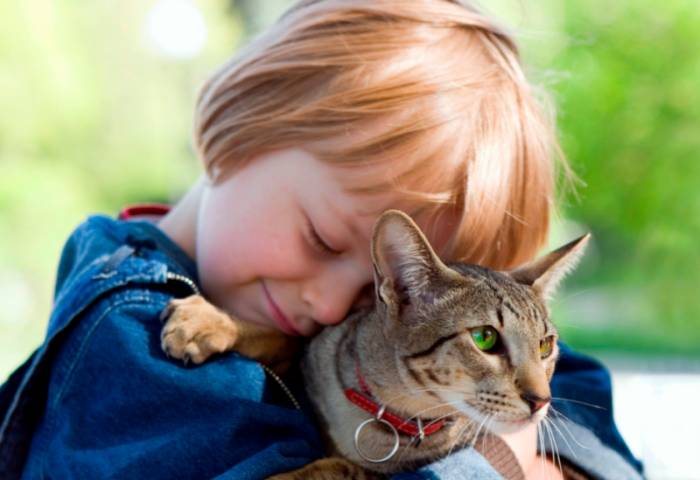 человек с кошкой