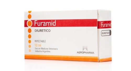 Дизентерийная амеба