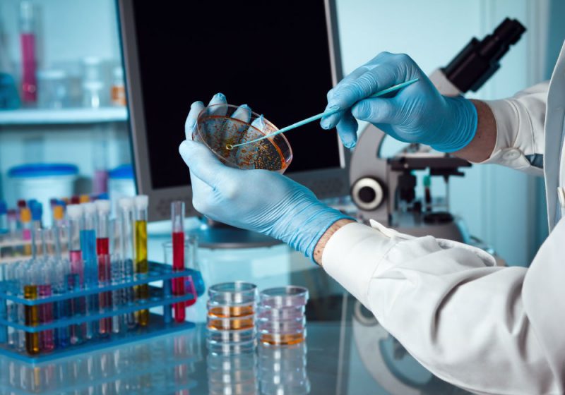 анализ кала