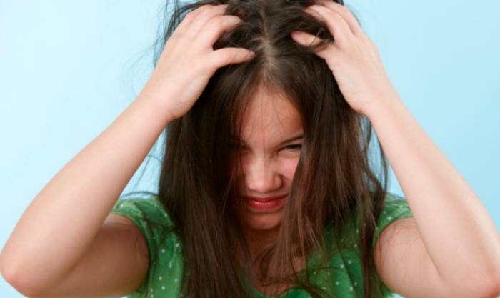 Вши и гниды у ребенка