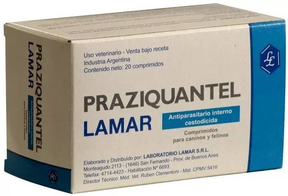 Празиквантел