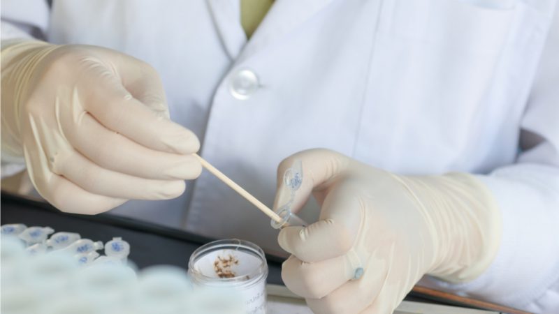 анализ кала