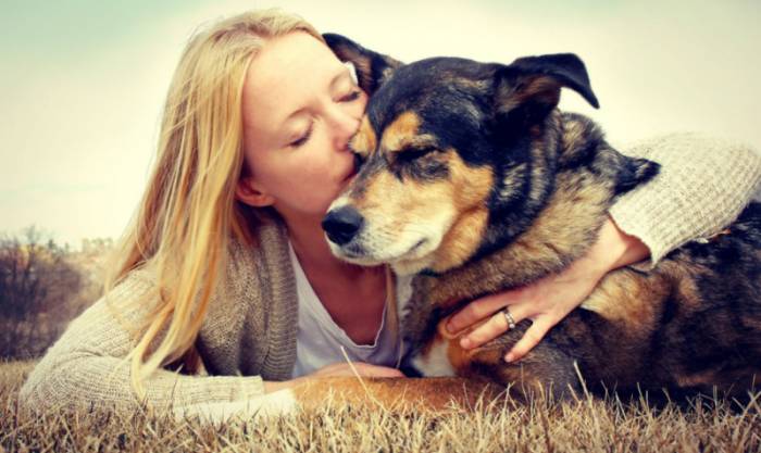 собака и человек