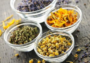 Сушеные травы Лечение остеопороза народными средствами