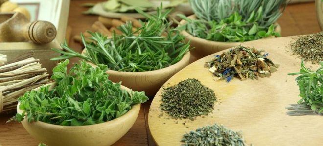 Травы против паразитов