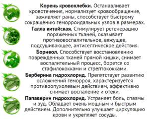 Состав пластыря от геморроя