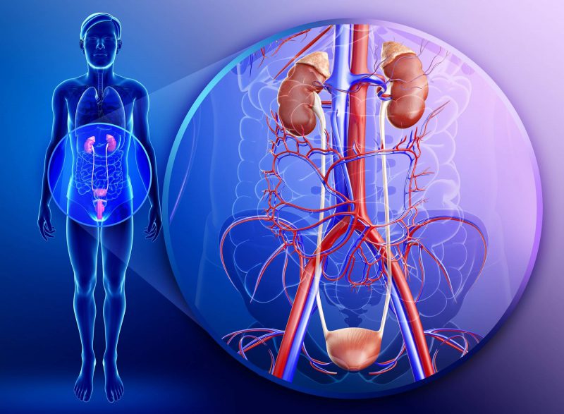 Инфекция у мужчин