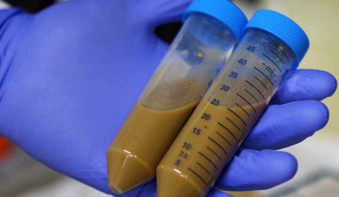 анализ кала