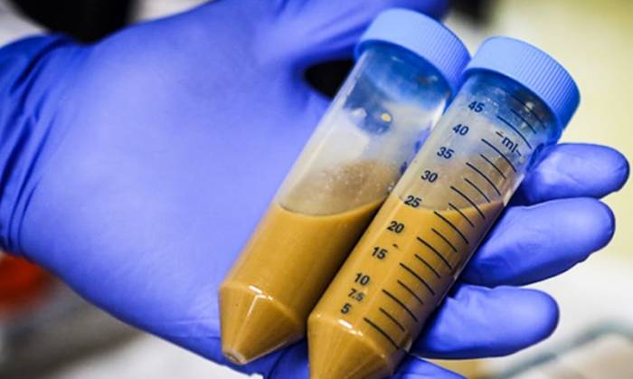 анализ кала