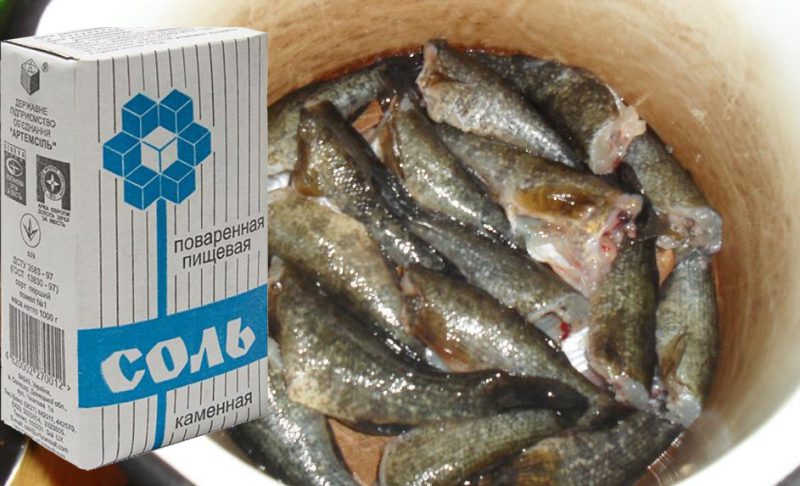 соленая рыба