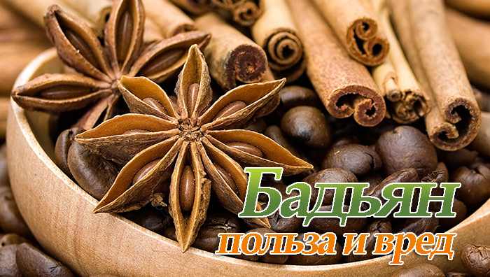 u0427u0442u043e u0442u0430u043au043eu0435 u0431u0430u0434u044cu044fu043d