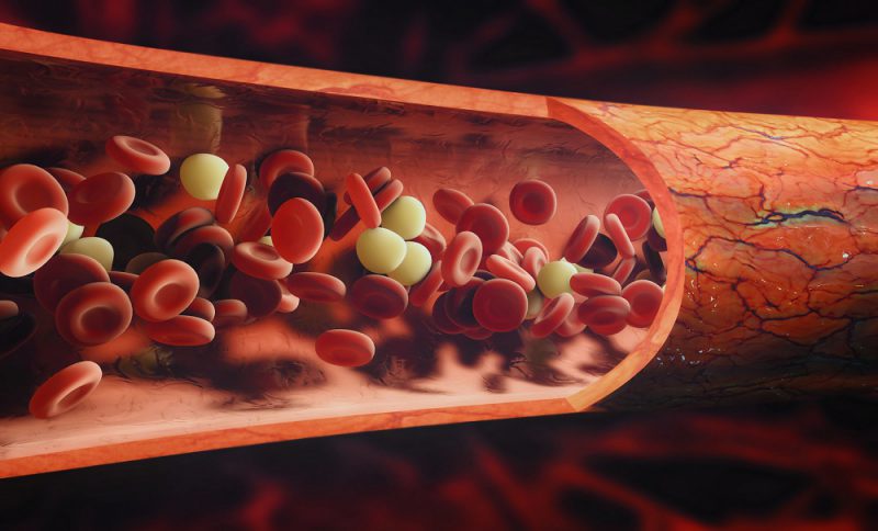 очищение крови