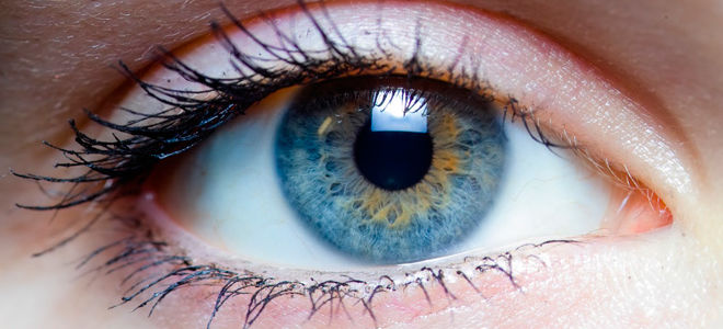 Глисты в глазах и как их лечить