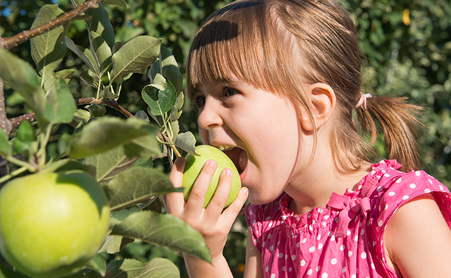пути заражения