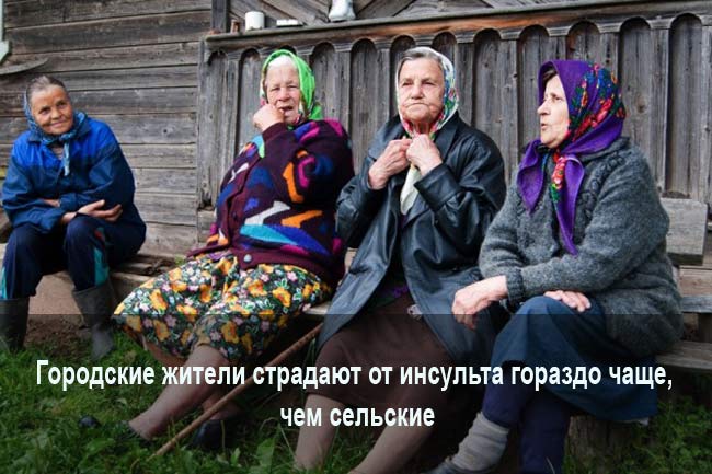 Жизнь в сельской местности