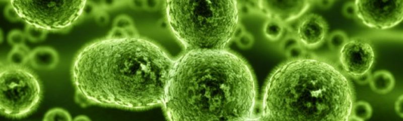 симптомы хламидиоза