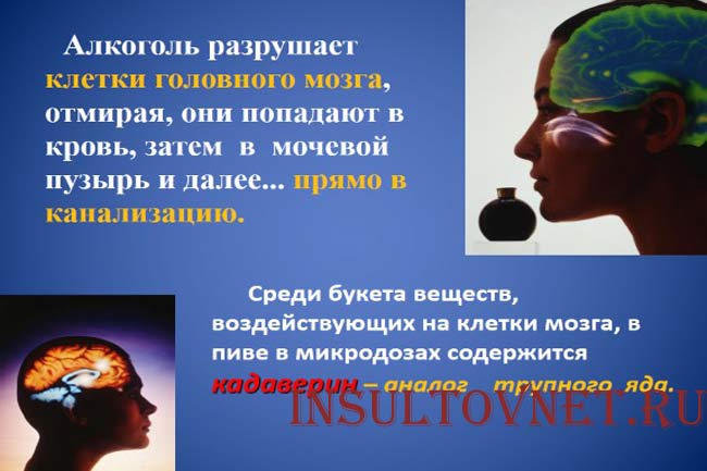 Пагубное влияние алкоголя