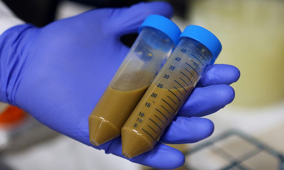 Копрограмма