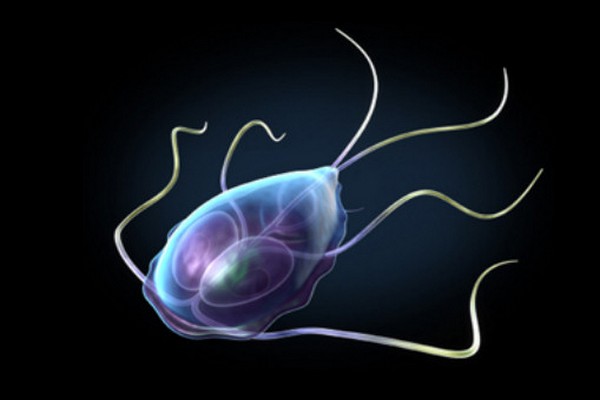 Описание недуга