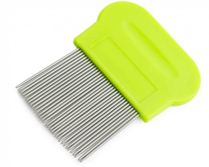 Вши и гниды у ребенка