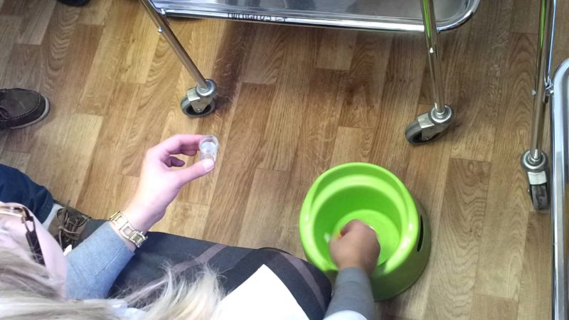 анализ кала на яйцеглист