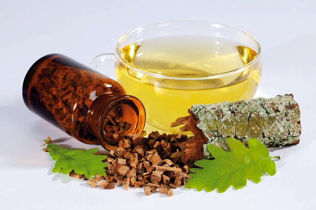 Отвар из коры дуба