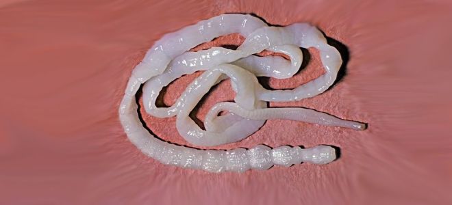 симптомы Тениоза