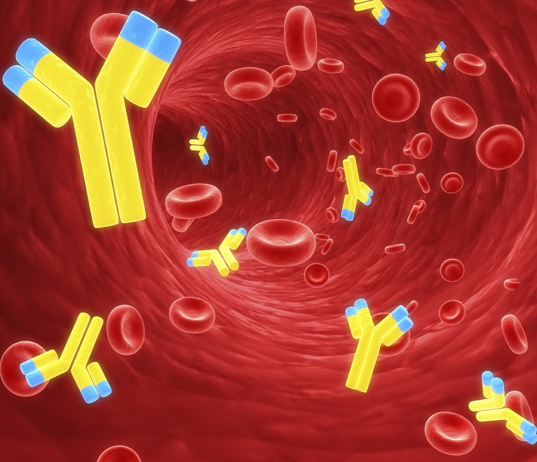 Антитела к лямблиям в крови