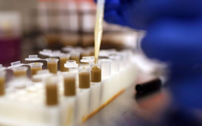 анализ кала