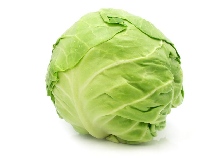 белокочанная капуста