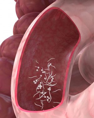 Таблетки от глистов пирантел: инструкция по применению